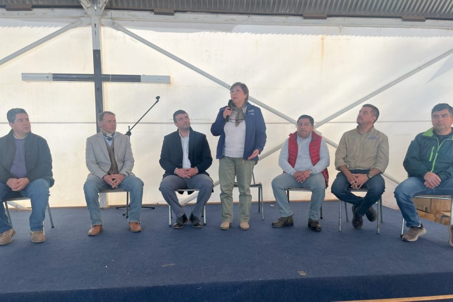 Autoridades y productores de Cardenal Caro analizan medidas frente al ataque de perros de libre deambular.