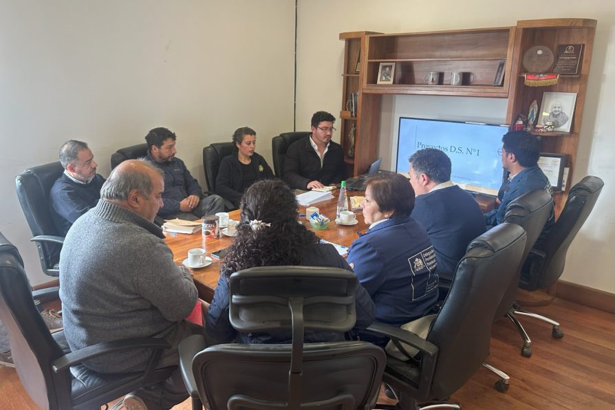 Fortalecen gestión habitacional en Paredones mediante trabajo colaborativo interinstitucional.