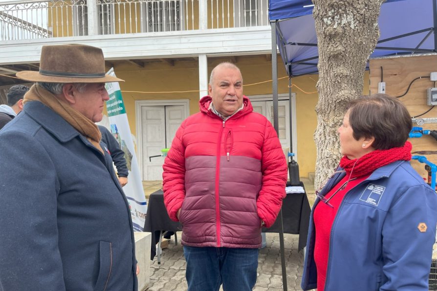Gobierno en Terreno y fiesta de la Virgen de las Nieves.