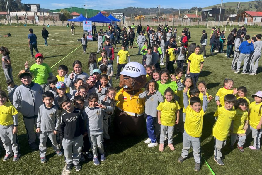 Gobierno en Terreno: Deporte y Niñez en Bucalemu.