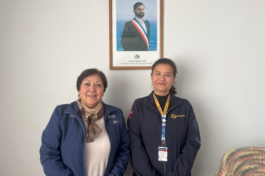 Delegación Presidencial y Sernapesca fortalecen lazos para potenciar el sector pesquero provincial.