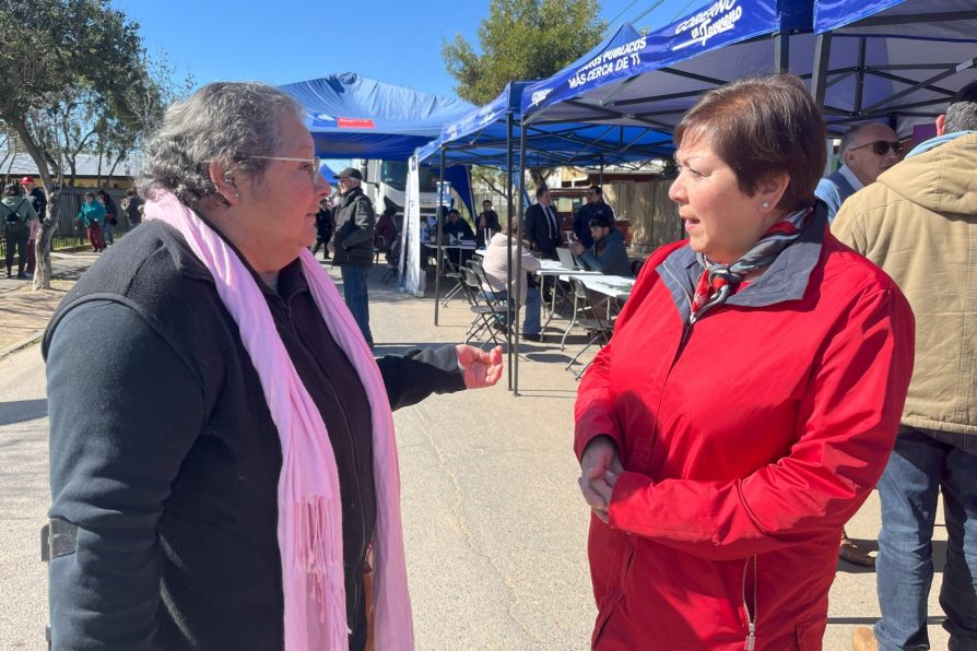 Exitosa jornada de Gobierno en Terreno en Marchigüe.