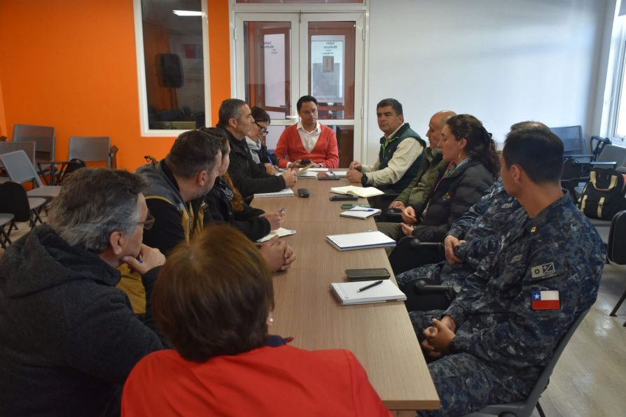 Delegación Presidencial coordina acciones ante emergencias ambientales y animales en la costa de Cardenal Caro.