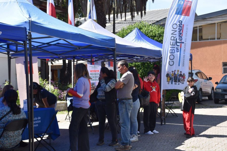 Exitoso despliegue de Gobierno en Terreno en la comuna de Navidad.