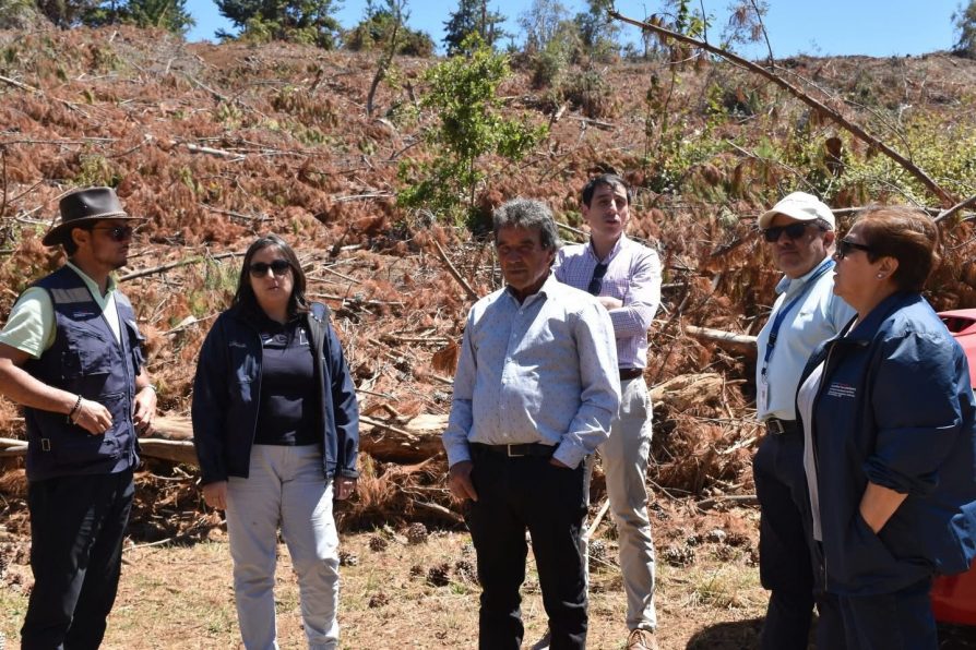Avanzan gestiones para garantizar el libre acceso a playas en la comuna de Pichilemu.