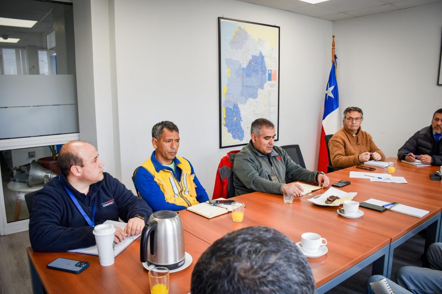 Gestiones para habilitar pista de aterrizaje en Coguil buscan fortalecer combate de incendios forestales